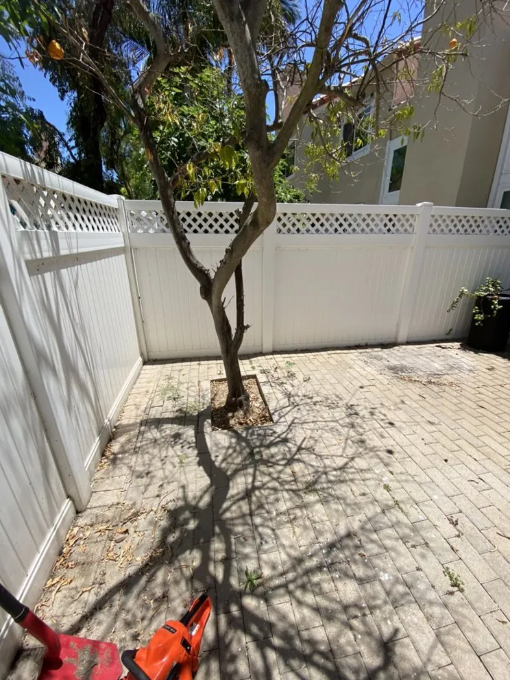 Affordable yard maintenance in Dana Point, CA by Rosas Landscaping Company