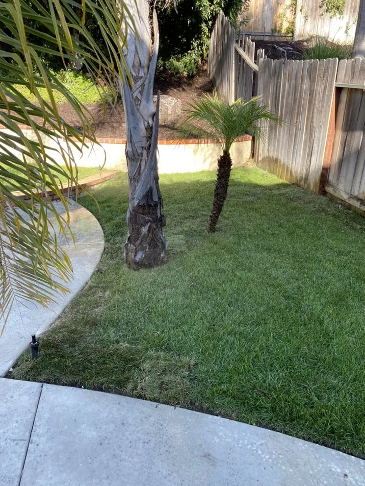 Affordable outdoor landscaping near you across Dana Point, CA - Rosas Landscaping Company
