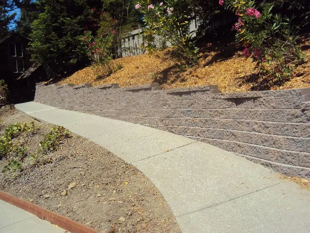 Reliable landscaping services in Concord, CA by Rosas Landscaping