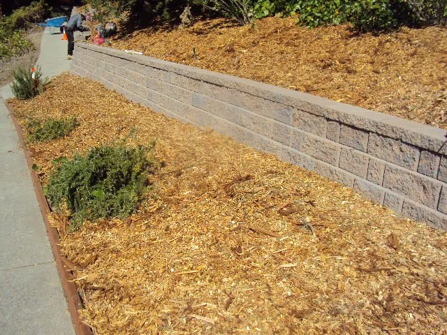 Expert garden landscaping for homes across Concord, CA - Rosas Landscaping