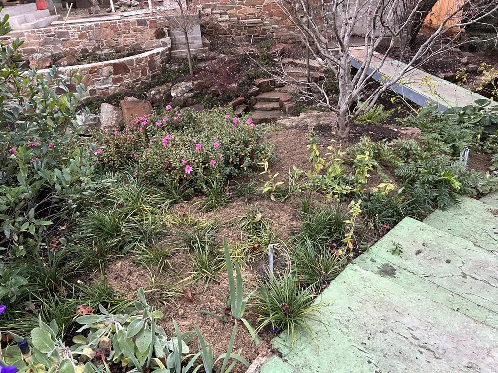 Professional garden landscaping in Princeton, TX by Rosas Landscaping