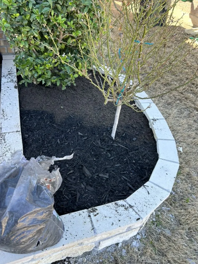 Trusted landscape design experts serving Princeton, TX - Rosas Landscaping