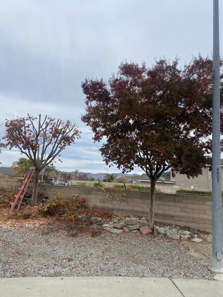 Top-rated lawn care service in Santa Maria, CA - Rosas Landscaping