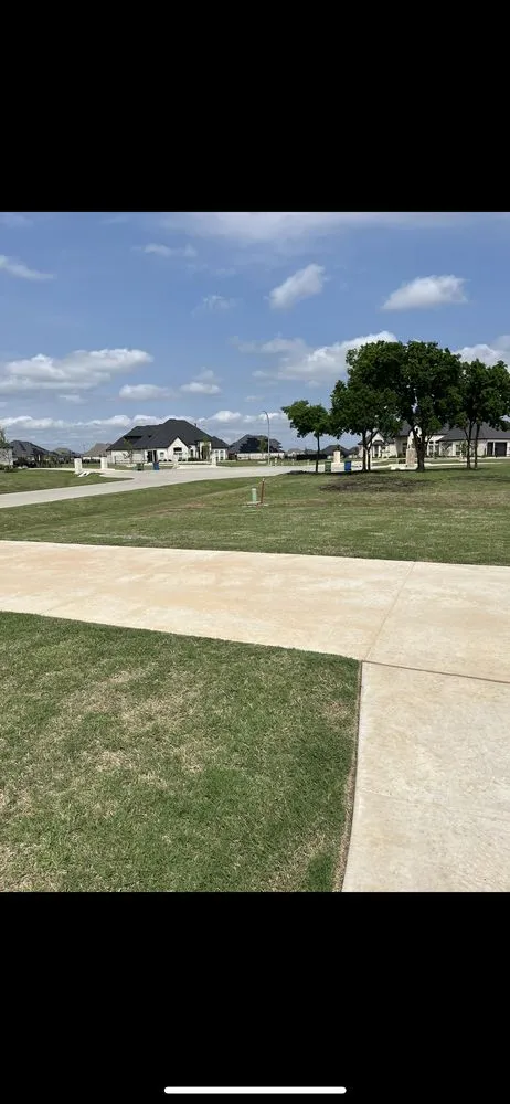 Trusted yard cleanup service for residential properties across Farmers Branch, TX - Rosas Lawn Care