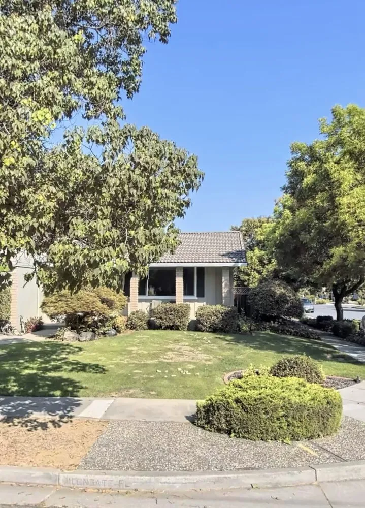 Reliable yard cleanup service experts serving San Jose, CA - Rosa's Maintenance