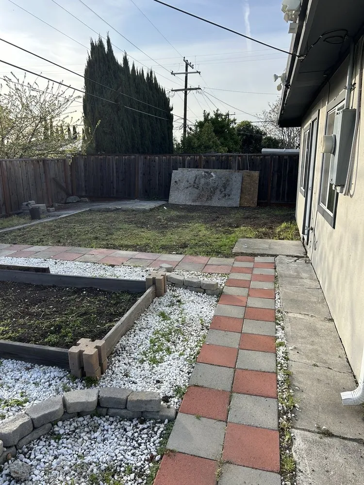Expert yard cleanup service experts serving San Jose, CA - Rosa's Maintenance