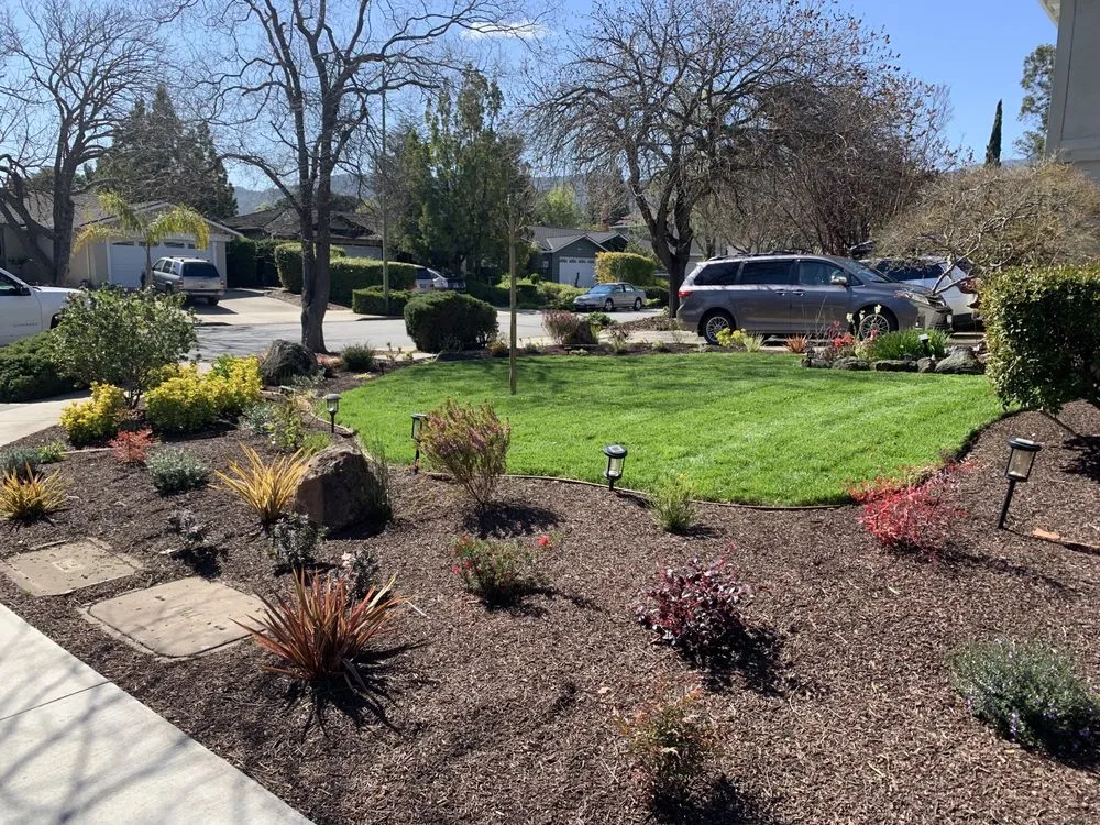 Reliable yard cleanup service for beautiful yards across San Jose, CA - Rosa's Maintenance