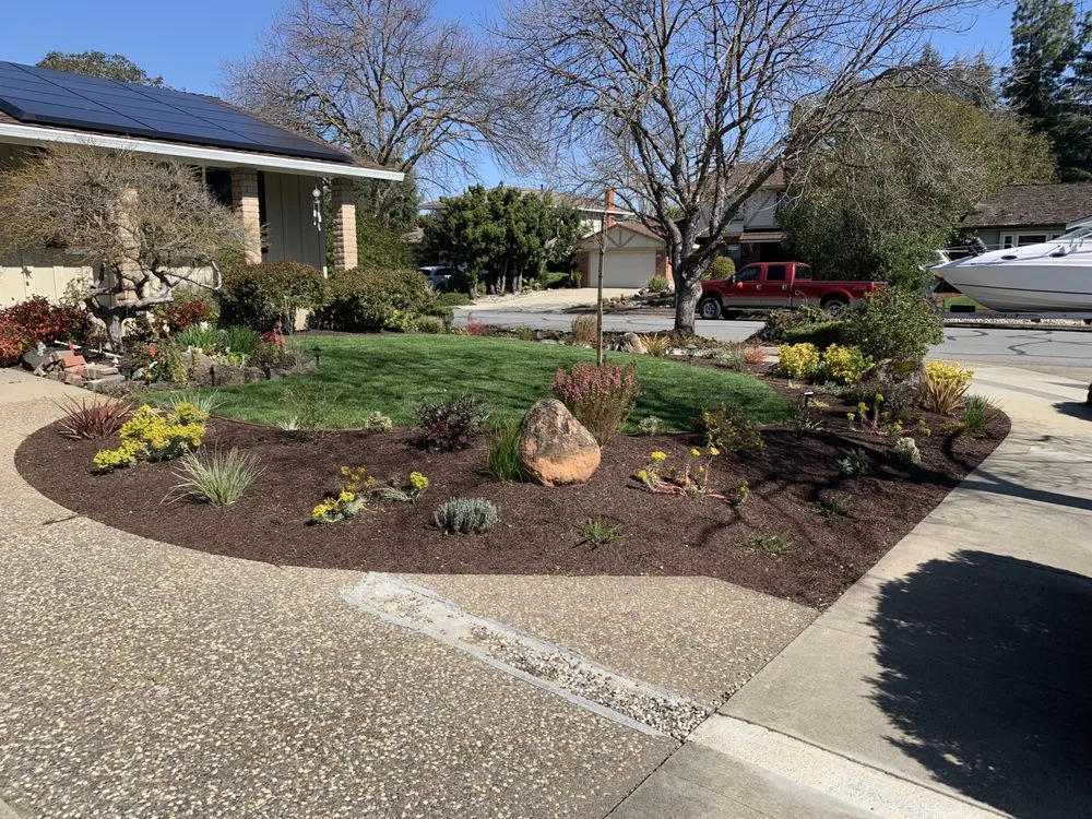 Local yard cleanup service near you across San Jose, CA - Rosa's Maintenance