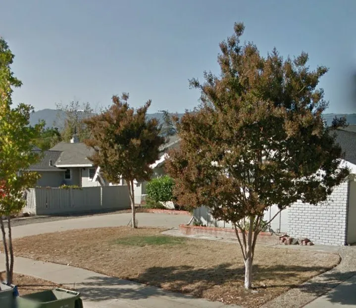 Trusted yard maintenance in San Jose, CA - Rosa's Maintenance