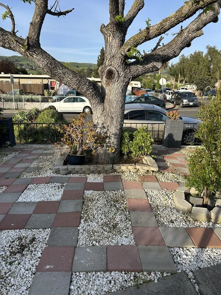 Top-rated outdoor landscaping for beautiful yards across San Jose, CA - Rosa's Maintenance