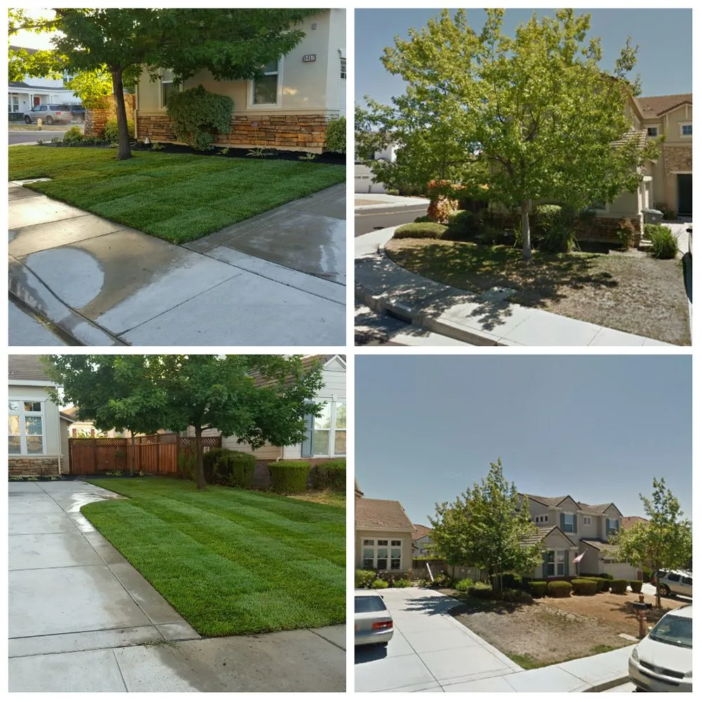 Affordable landscaping services in San Jose, CA by Rosa's Maintenance