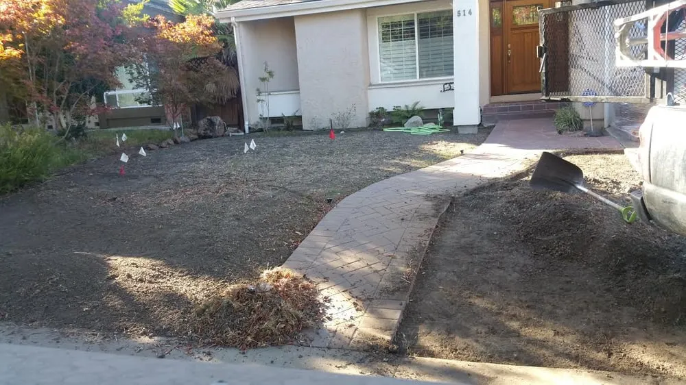 Expert yard cleanup service for year-round maintenance across San Jose, CA - Rosa's Maintenance