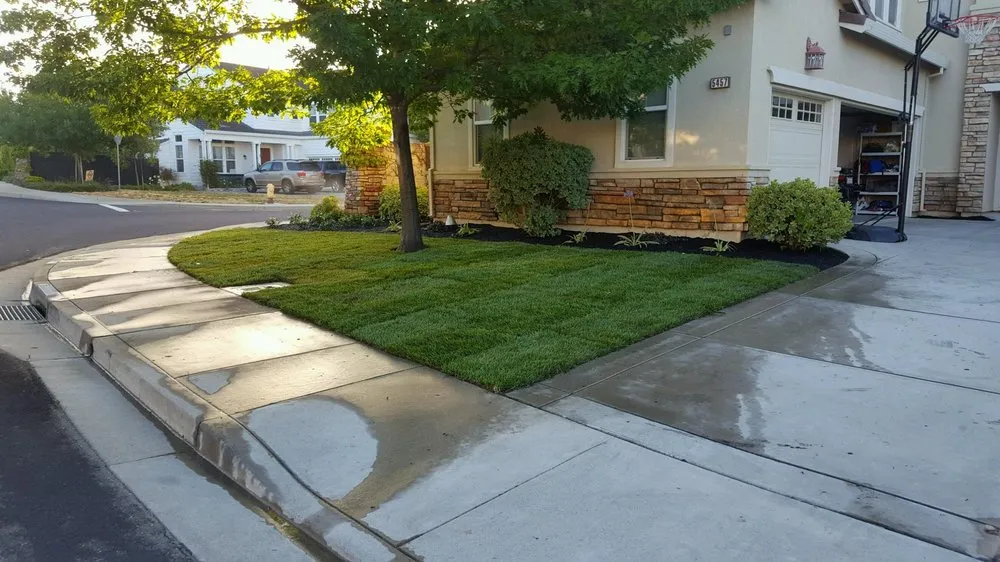 Local yard cleanup service for homes across San Jose, CA - Rosa's Maintenance