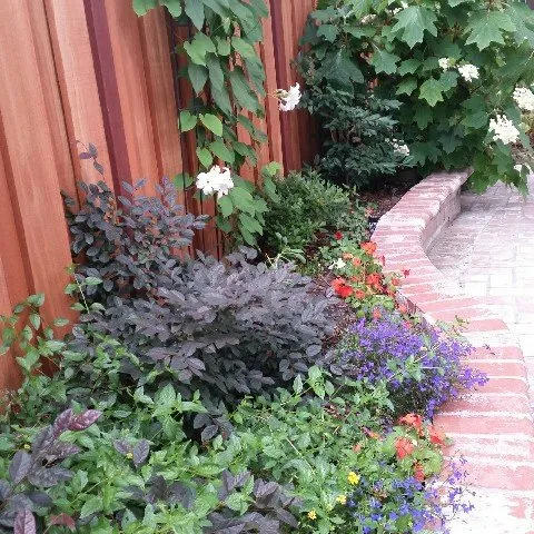 Affordable residential landscaping for outdoor upgrades in San Jose, CA by Rosa's Maintenance