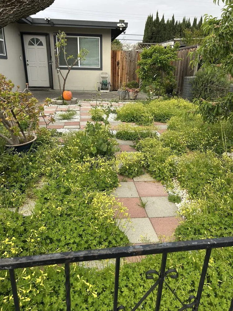 Professional garden landscaping experts serving San Jose, CA - Rosa's Maintenance