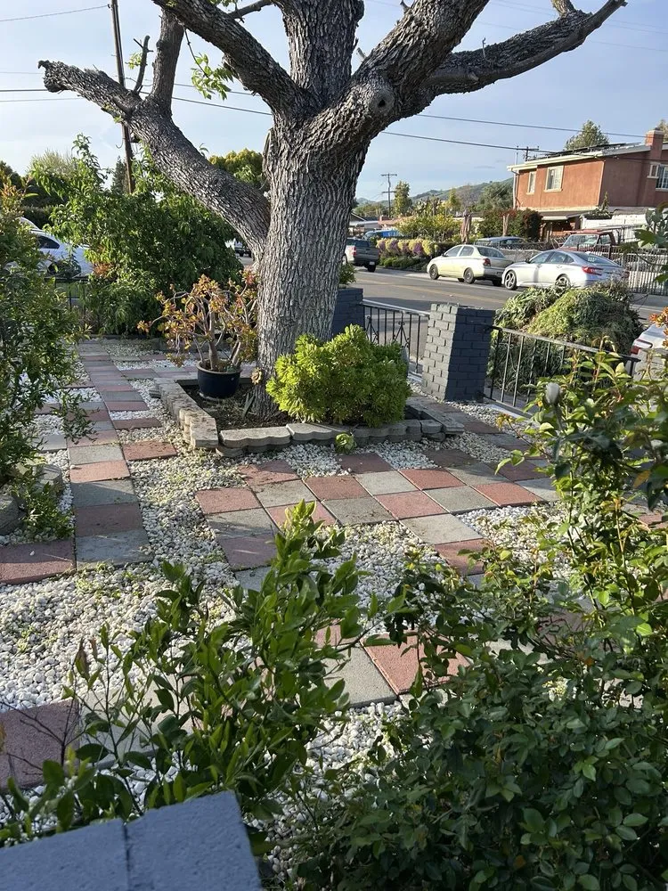 Expert lawn mowing service with custom design across San Jose, CA - Rosa's Maintenance