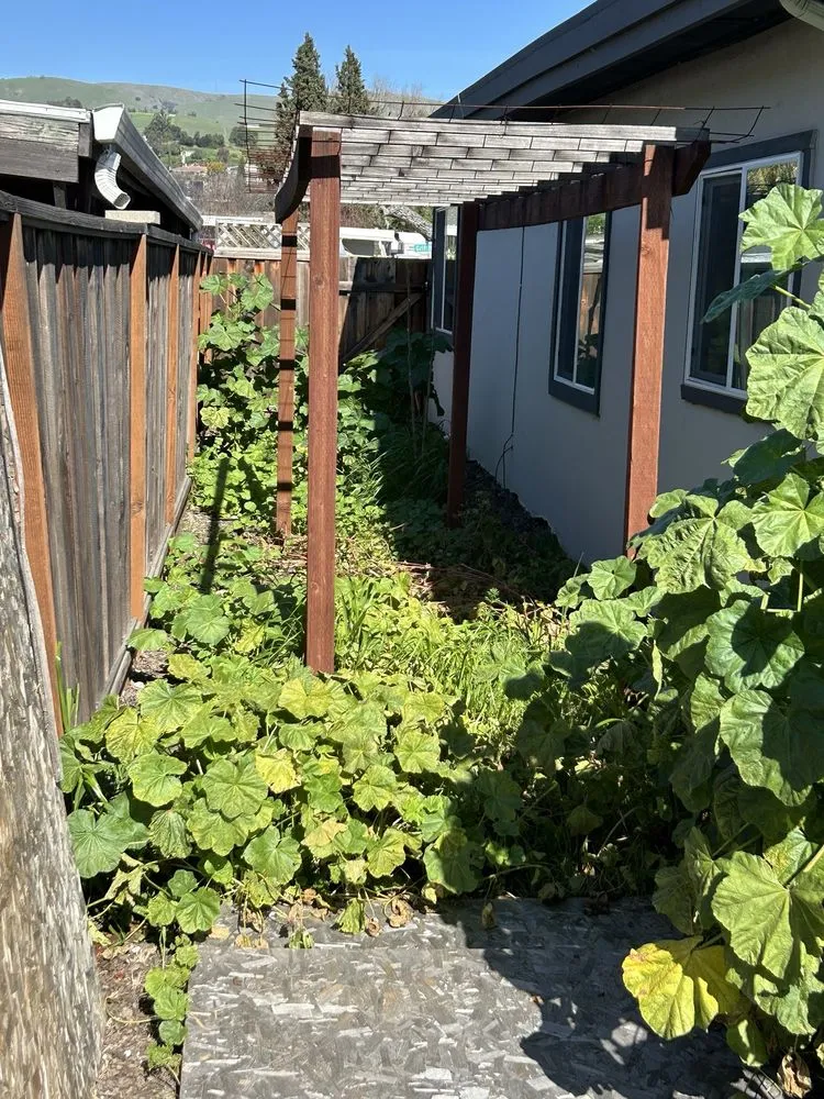 Local outdoor landscaping in San Jose, CA - Rosa's Maintenance