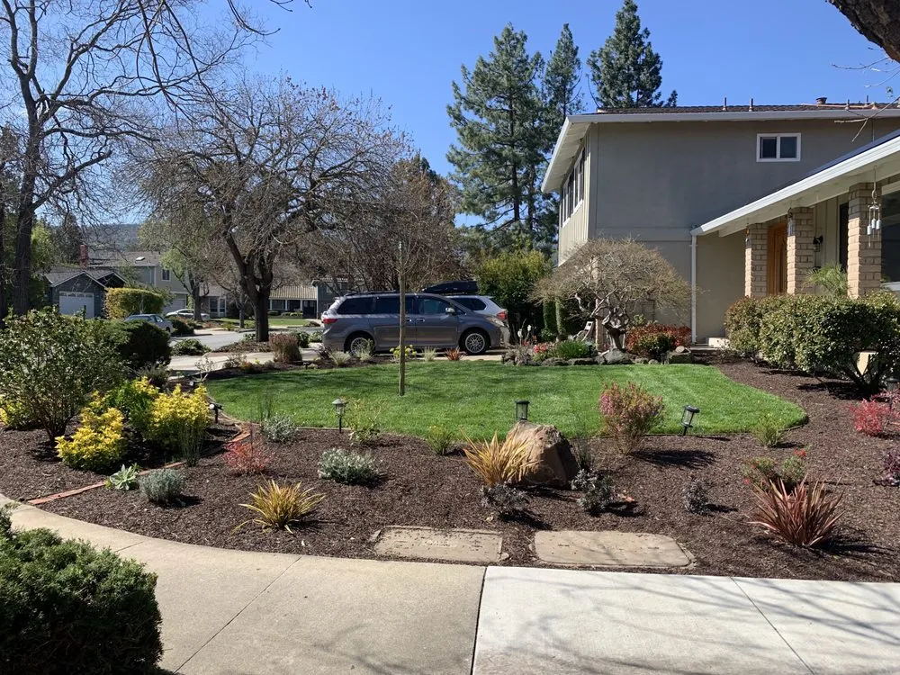 Professional landscaping services in San Jose, CA - Rosa's Maintenance