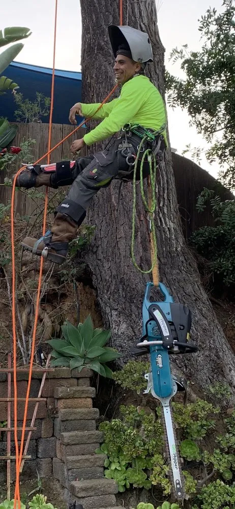 Trusted residential landscaping in Lemon-Grove, CA by Rosas Tree Service