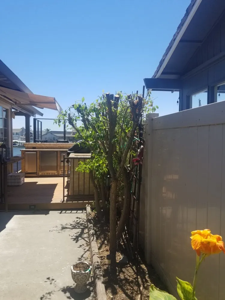 Expert lawn care service in Lemon-Grove, CA by Rosas Tree Service