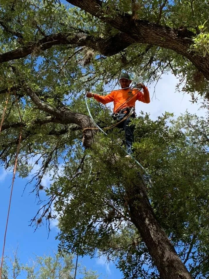 Reliable lawn mowing service in Leander, TX by Rosas Tree Services