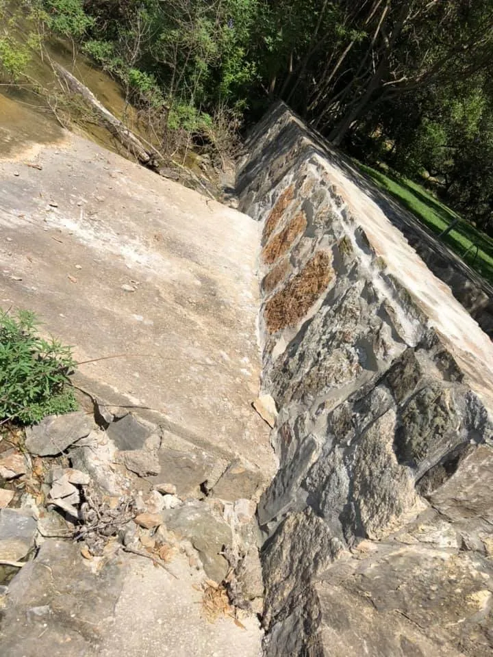 Affordable lawn mowing service for beautiful yards in Leander, TX by Rosas Tree Services