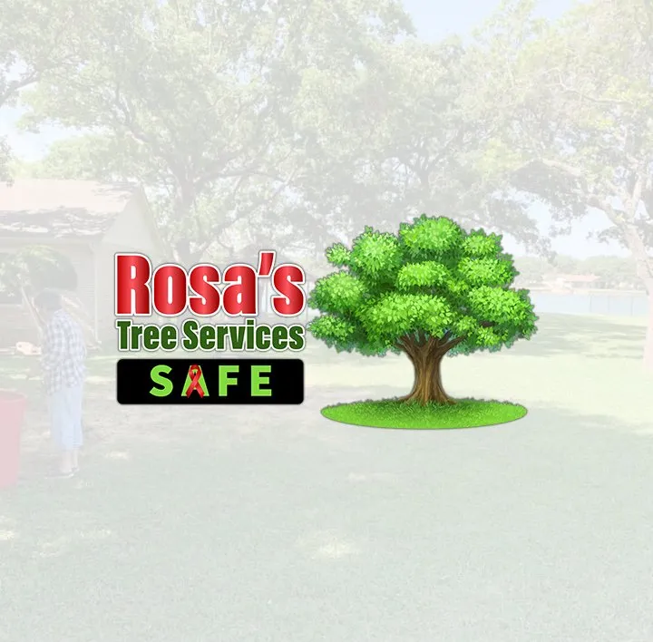 Professional landscape installation near you in Leander, TX by Rosas Tree Services