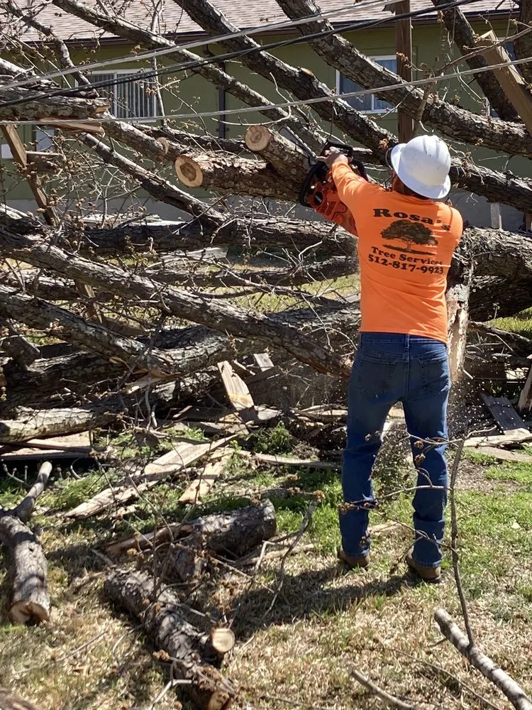 Top-rated yard maintenance in Leander, TX - Rosas Tree Services