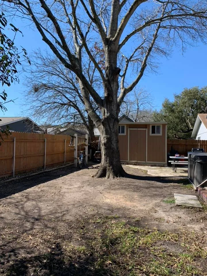 Expert lawn mowing service for beautiful yards in Leander, TX by Rosas Tree Services