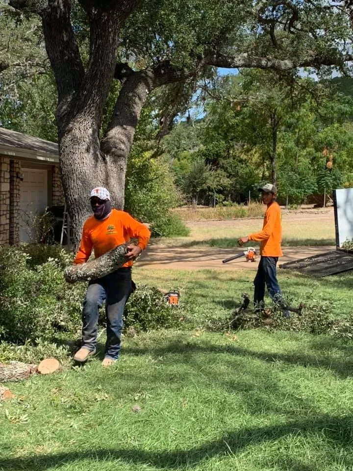 Trusted landscape design for year-round maintenance across Leander, TX - Rosas Tree Services