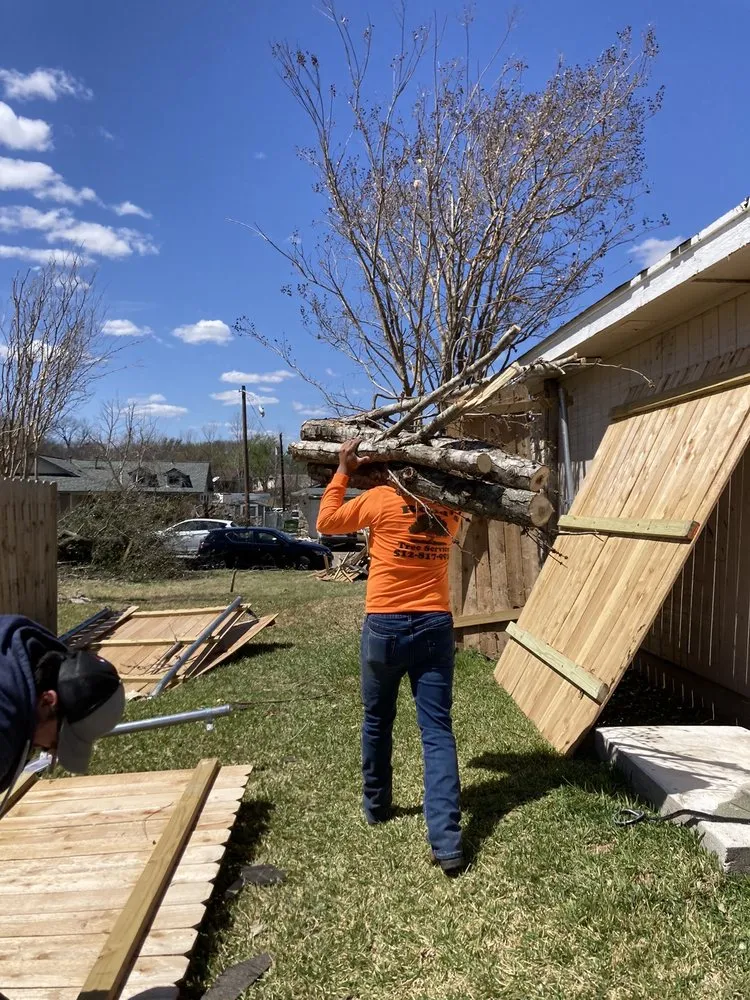 Professional landscape design in Leander, TX by Rosas Tree Services