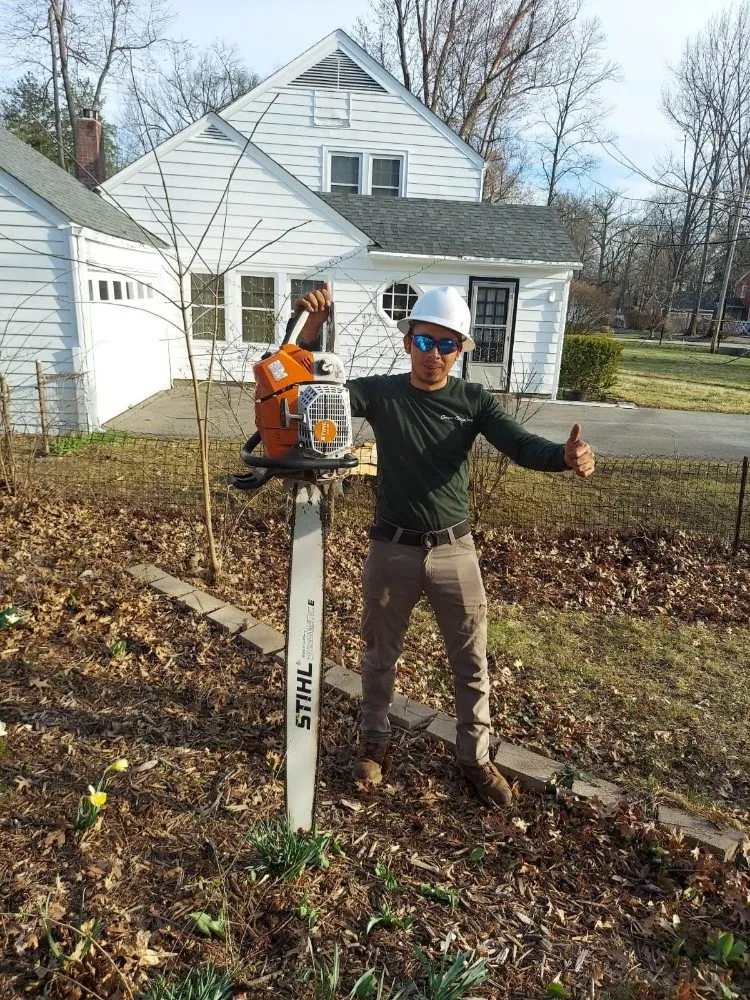 Reliable landscaping services for year-round maintenance across South Park View, KY - Rosas Tree Services