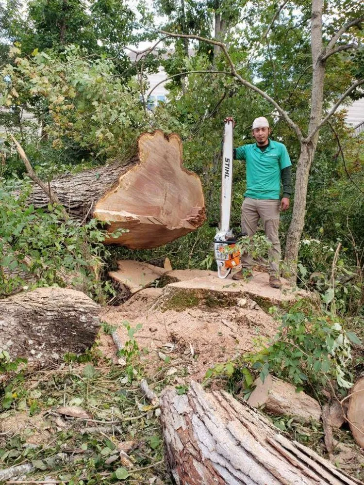 Top-rated landscape design experts serving South Park View, KY - Rosas Tree Services