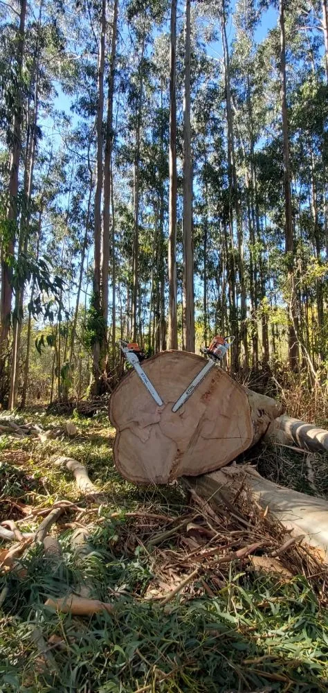 Trusted garden landscaping in South Park View, KY - Rosas Tree Services