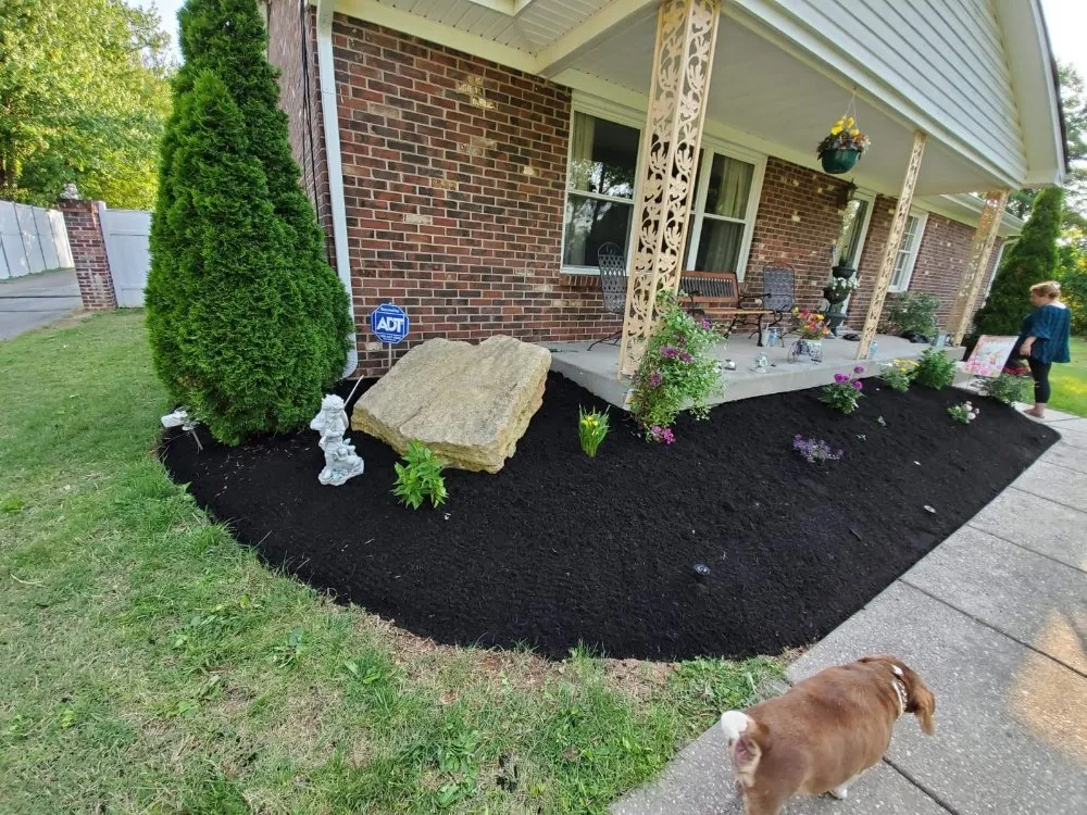 Reliable yard maintenance in South Park View, KY by Rosas Tree Services