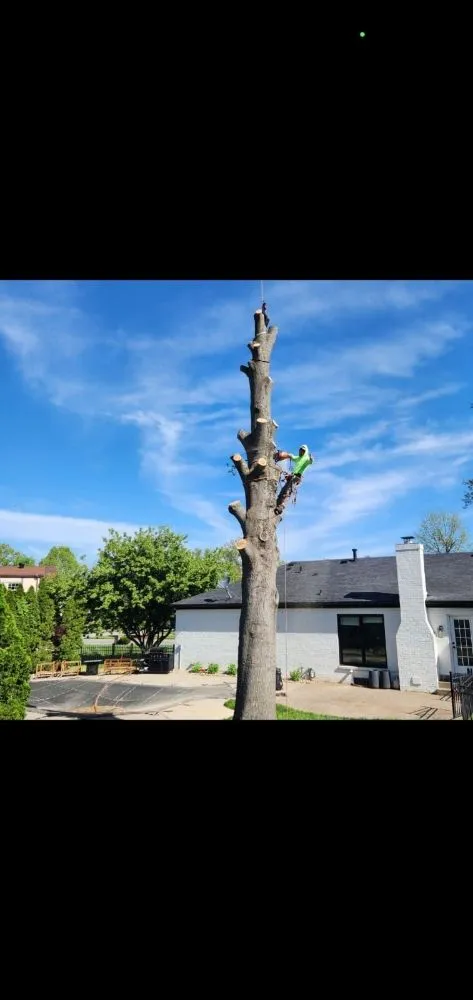 Custom garden landscaping for residential properties in South Park View, KY by Rosas Tree Services