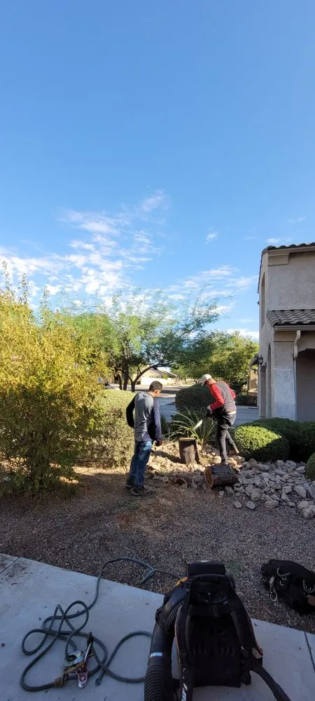 Affordable yard maintenance for homes across Surprise, AZ - Rosas’s Irrigation & Landscaping Services