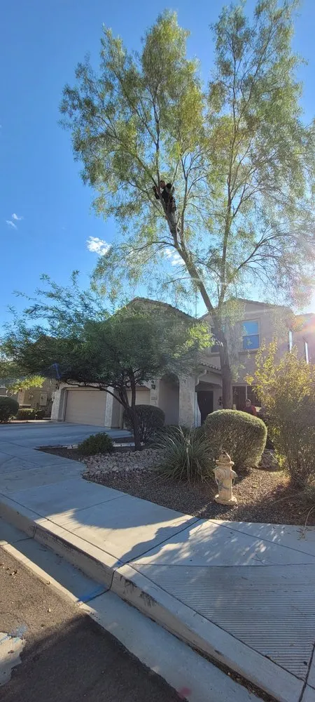 Custom outdoor landscaping for outdoor upgrades in Surprise, AZ by Rosas’s Irrigation & Landscaping Services