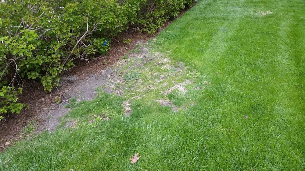 Local residential landscaping for year-round maintenance in Libertyville, IL by Rosborough Partners