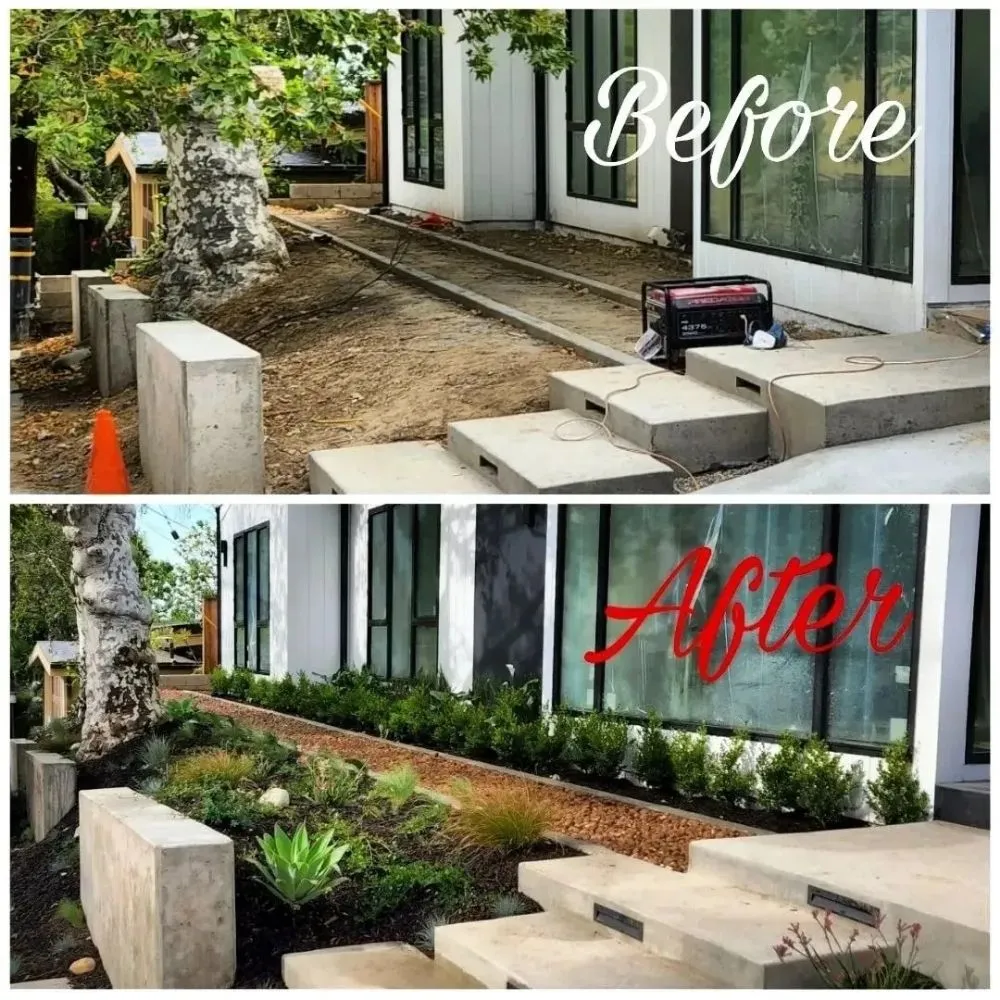 Trusted landscaping services near you in North Hollywood, CA by Roscoe Nursery Wholesale Growers