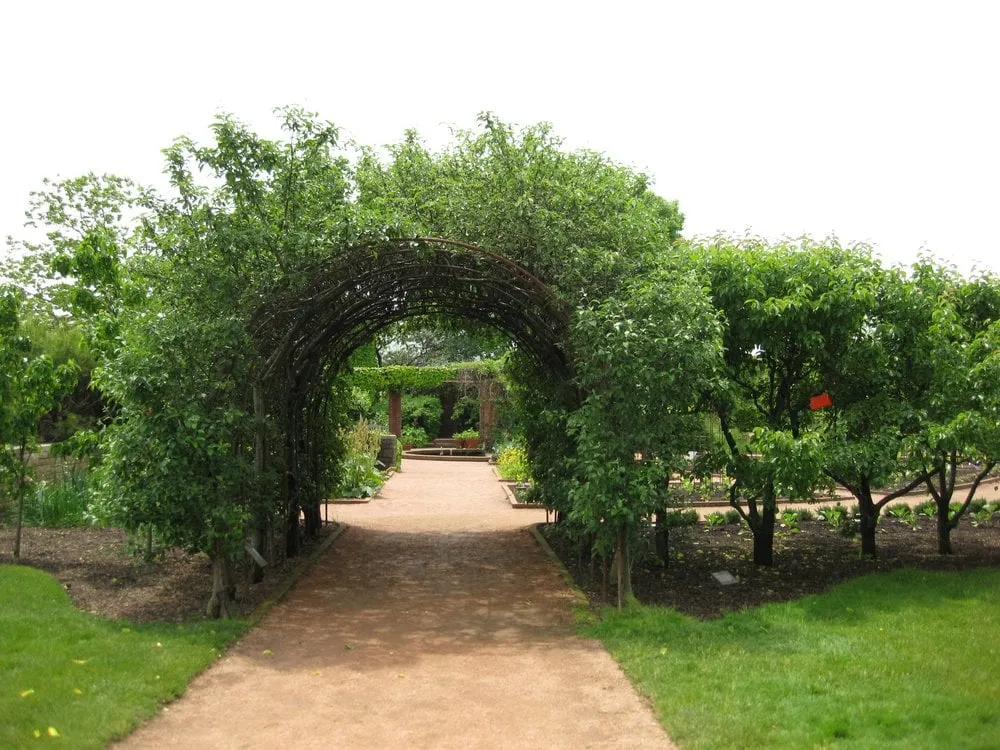 Top-rated lawn care service in North Hollywood, CA by Roscoe Nursery Wholesale Growers