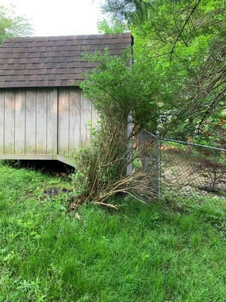 Reliable yard cleanup service for residential properties across Glenshaw, PA - Roscoe's Maintenance Service