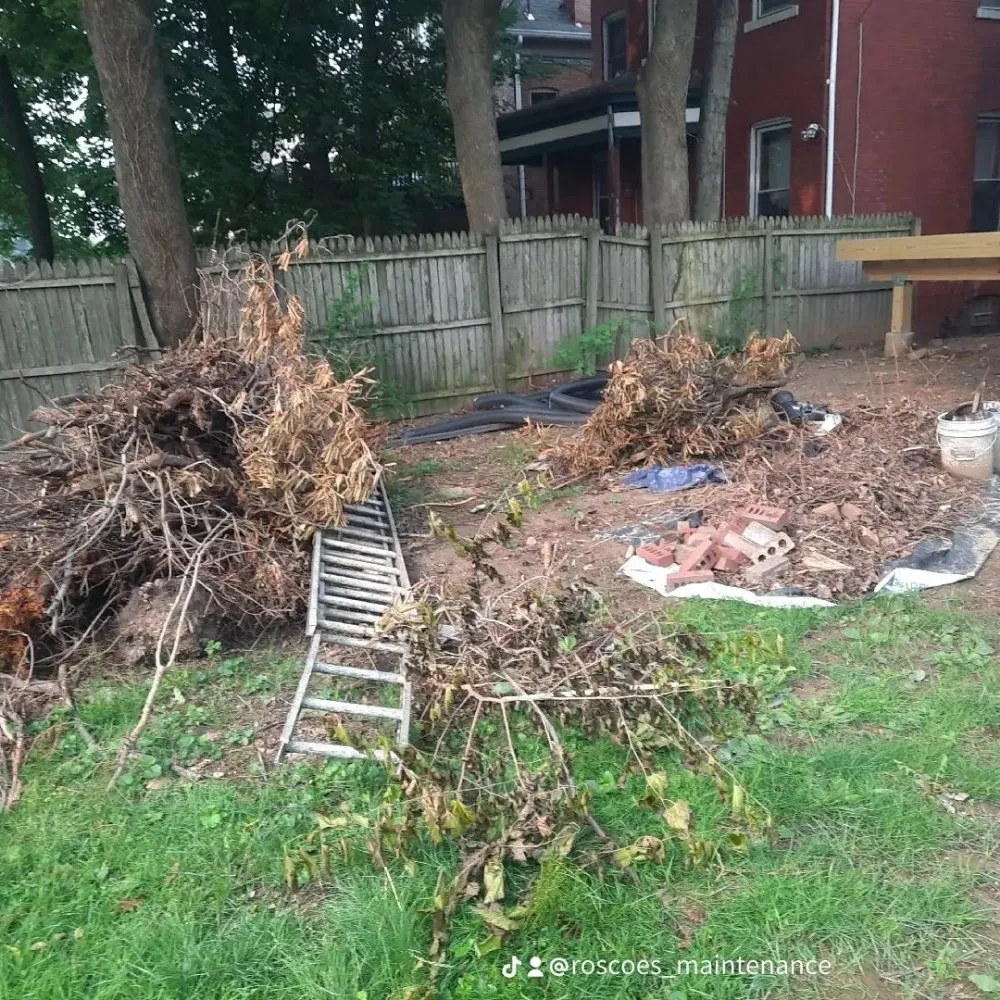 Expert outdoor landscaping in Glenshaw, PA - Roscoe's Maintenance Service