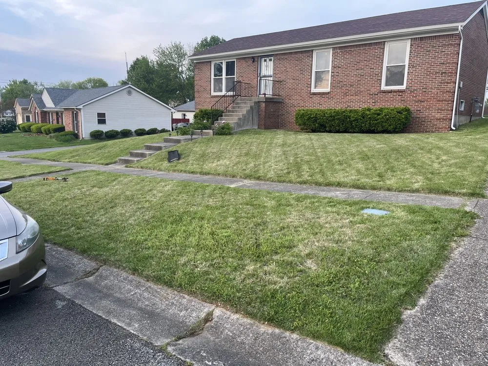 Affordable yard cleanup service for year-round maintenance in Blue Ridge Manor, KY by Roscos Lawncare