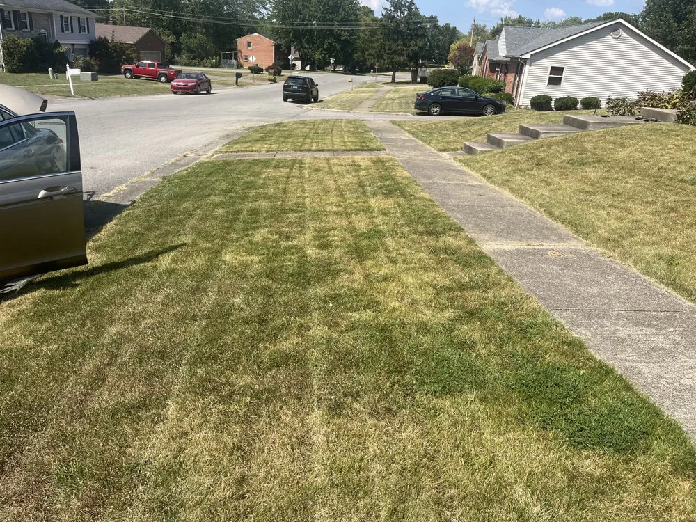 Professional lawn mowing service with custom design across Blue Ridge Manor, KY - Roscos Lawncare