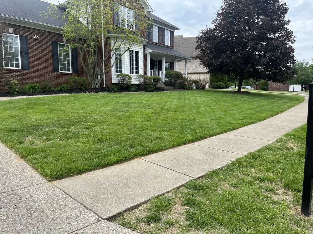 Expert landscape installation in Blue Ridge Manor, KY by Roscos Lawncare