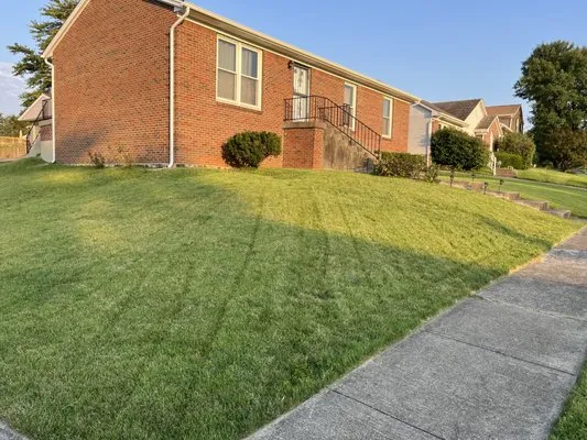 Roscos Lawncare