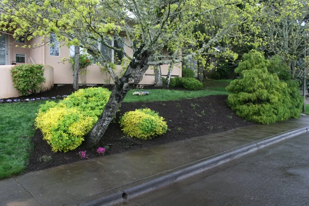 Affordable residential landscaping for outdoor upgrades across Milwaukie, OR - Rose City's Premier Lawn & Garden