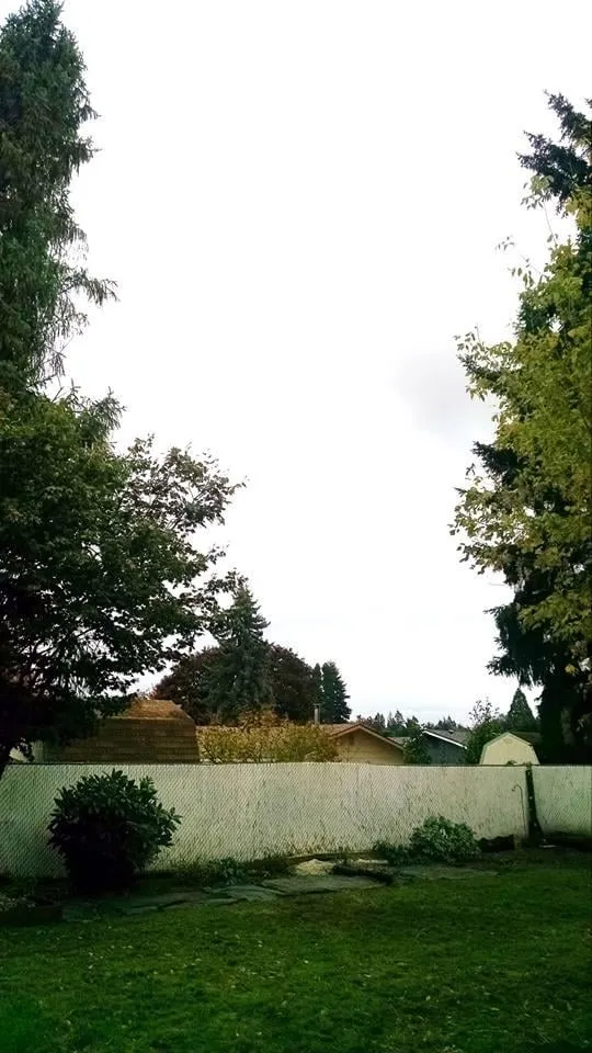 Expert yard cleanup service in Milwaukie, OR - Rose City's Premier Lawn & Garden