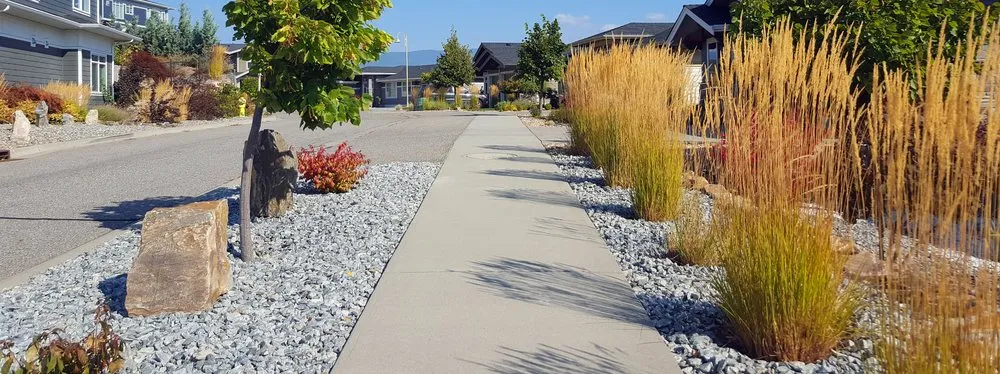 Local residential landscaping in San Diego, CA by Rose Concrete & Development